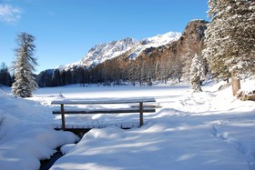 Cristallo