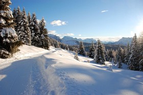Cristallo
