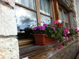 Hotel Villa Di Bosco