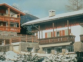 Ai Pini