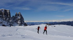 Pension Fellis