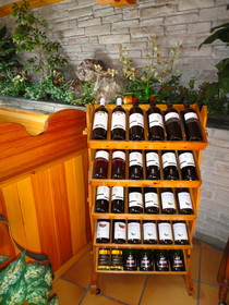 Hotel Chalet Olympia