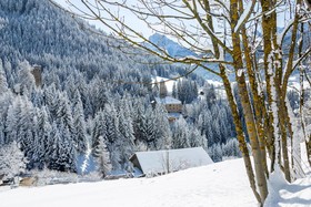 Hotel Dolomiten