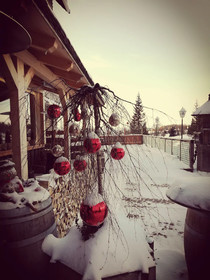Hotel Castel Latemar