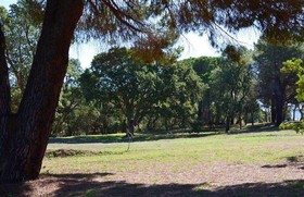 Villino Nel Bosco