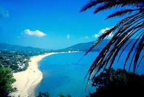 Appartamenti Elbamar Lacona