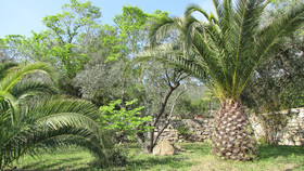 Residence Al Barcoco