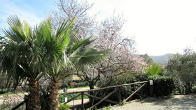 Residence Al Barcoco