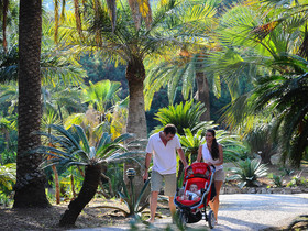 Camping Village & Glamping Rosselba Le Palme