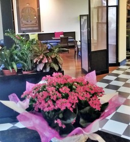 Hotel Verdemilia
