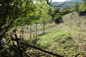 Agriranch La Betla