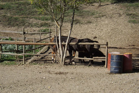 Agriranch La Betla