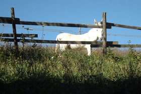 Agriranch La Betla