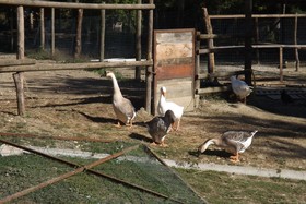 Agriranch La Betla