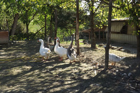 Agriranch La Betla