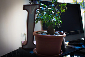 A Due Passi Dal Lumiere