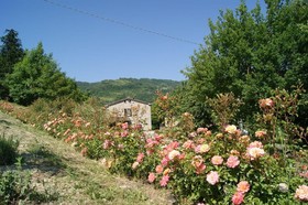 Corte dei Mori