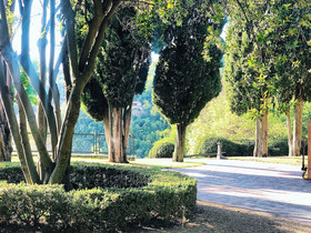 Villa Liverzano