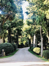 Villa Liverzano