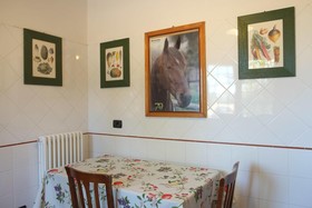 Il Prato dei Conigli