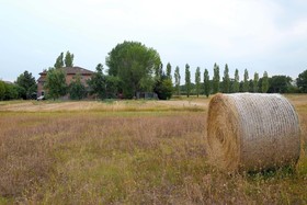 Il Prato dei Conigli