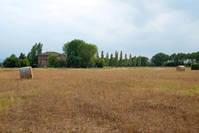 Il Prato dei Conigli