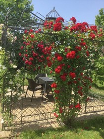 Bed & Breakfast Red Wine Country House