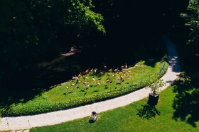 Villa Abbondanzi Resort