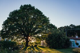 Villa Abbondanzi Resort