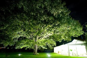 Villa Abbondanzi Resort