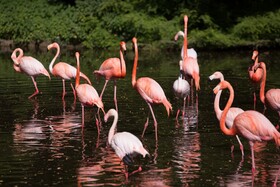 Villa Abbondanzi Resort