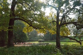 Villa Abbondanzi Resort