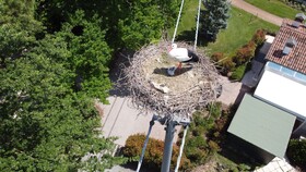 Villa Abbondanzi Resort