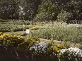 Villa Abbondanzi Resort