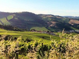 Borgo Conde Wine Resort