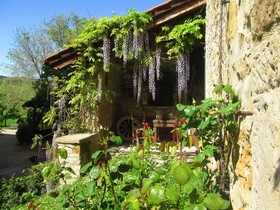 Palazzo Loup
