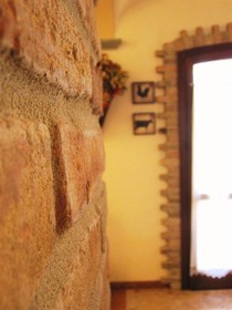 Agriturismo Ca' Nuova
