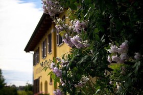 Agriturismo Ca' Nuova