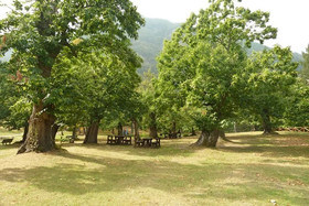 Campeggio Parco Dei Castagni