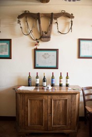 Agriturismo Montevecchio Isolani