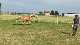 Tuscany Village Club - Ranch PratoSasso