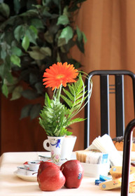 Euro Hotel Piacenza