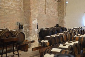 Agriturismo Cavazzone