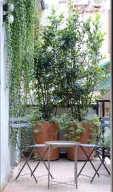 Locanda La Concia