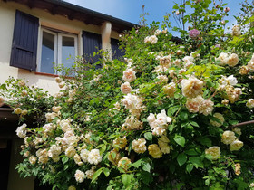 The Bloomsbury Writers House