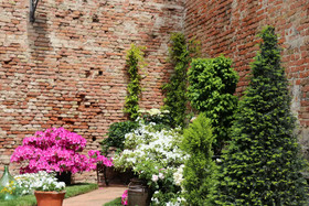 Castello Santarcangelo Di Romagna