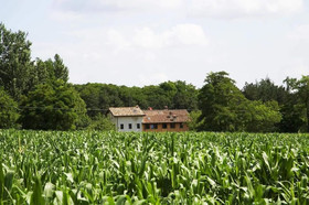 Bed and Breakfast Ca' De Taruffi