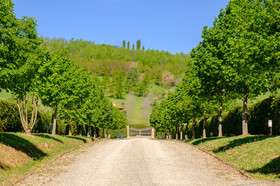 La Quercia