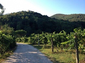 Agriturismo Famiglia Cois