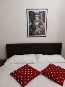 Venice Star House
